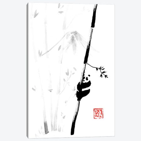 Panda In The Tree III Canvas Print #PCN426} by Péchane Canvas Wall Art