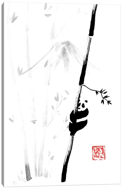 Panda In The Tree III Canvas Art Print - Bamboo Art