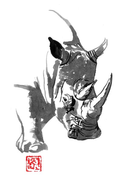 Rhinoceroses: Rhino by Péchane