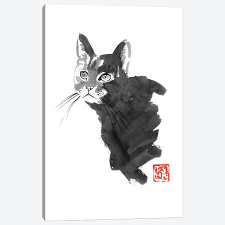 Staring Cat Canvas Print #PCN433} by Péchane Canvas Art