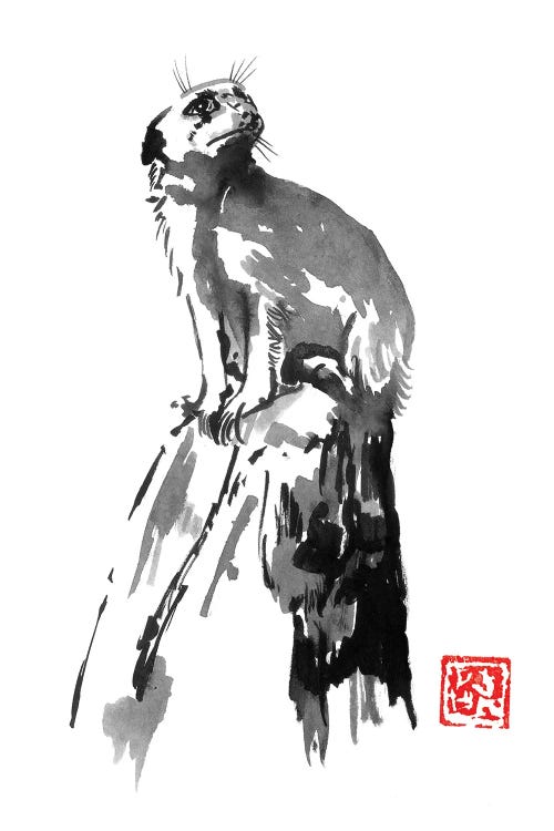 Surikat by Péchane wall art
