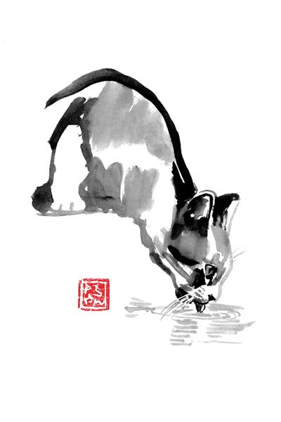 Drinking Cat by Péchane canvas print