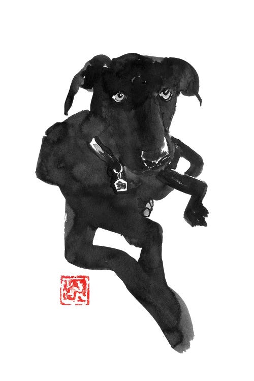 Black Dog by Péchane wall art