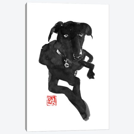 Black Dog Canvas Print #PCN443} by Péchane Canvas Art Print
