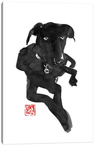 Black Dog Canvas Art Print - Péchane