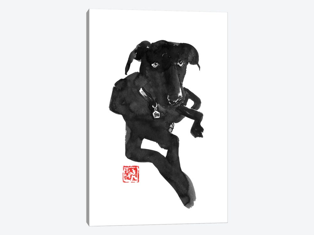 Black Dog by Péchane 1-piece Canvas Art