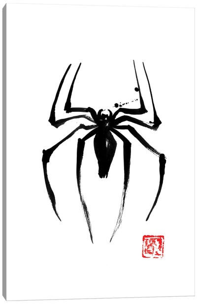 Spider Canvas Art Print - Spider-Man