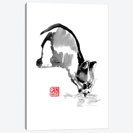 Drinking Cat Canvas Print #PCN44} by Péchane Canvas Artwork