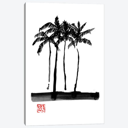 Palmtrees Canvas Print #PCN451} by Péchane Canvas Wall Art