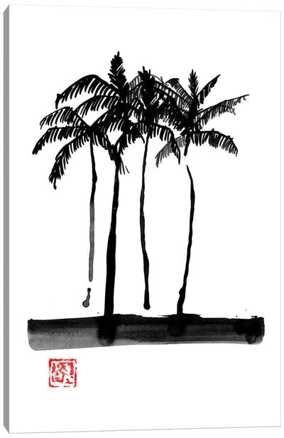 Palmtrees Canvas Art Print - Péchane