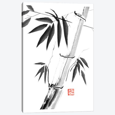 Bamboos Canvas Print #PCN452} by Péchane Canvas Wall Art