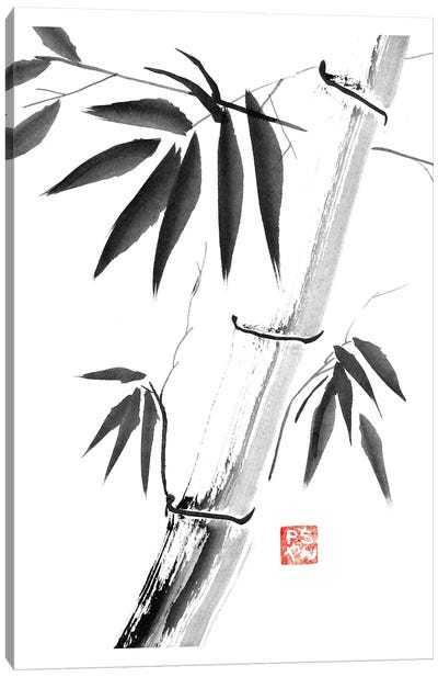 Bamboos Canvas Art Print - Zen Garden