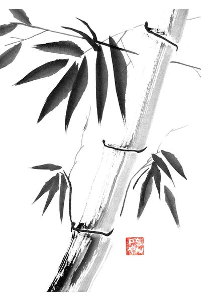 Bamboo: Bamboos by Péchane
