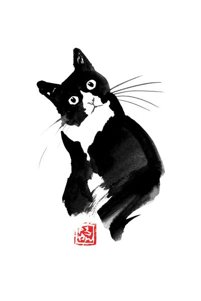 Dubitatif by Péchane canvas print