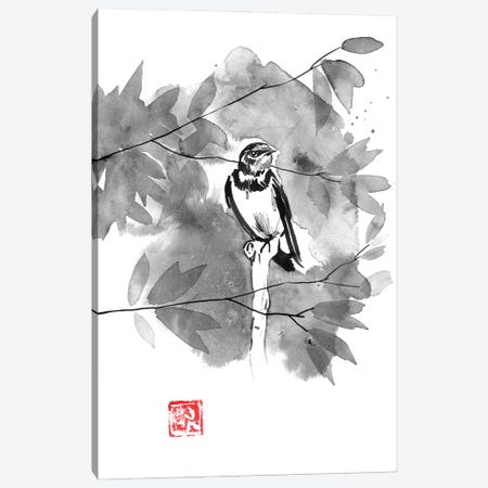 Bird In A Tree Canvas Print #PCN469} by Péchane Canvas Art Print