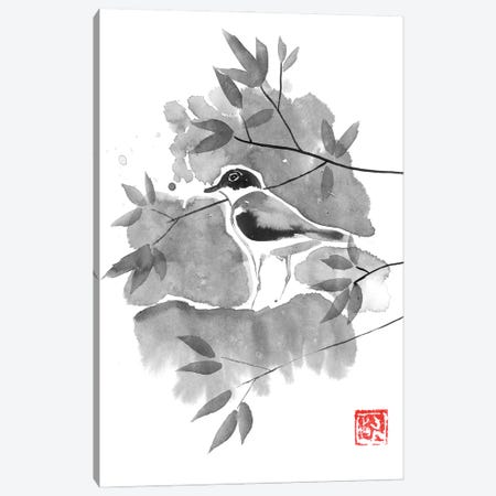 Bird In A Tree II Canvas Print #PCN470} by Péchane Canvas Wall Art