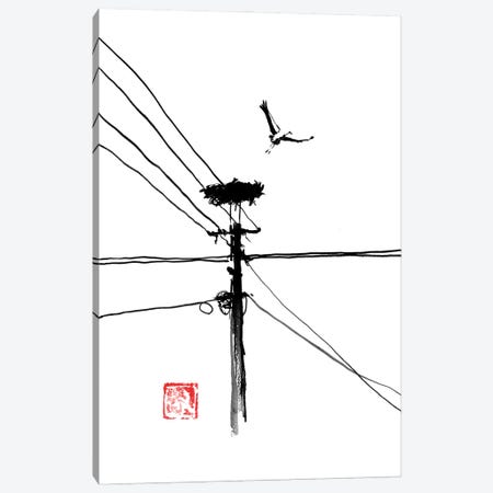 Taking Off Storke Canvas Print #PCN473} by Péchane Canvas Artwork