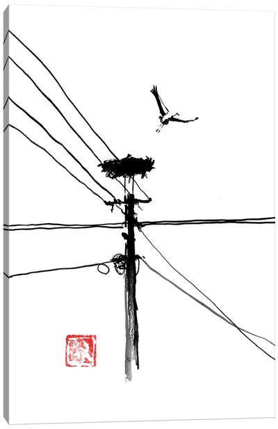 Taking Off Storke Canvas Art Print - Birds On A Wire