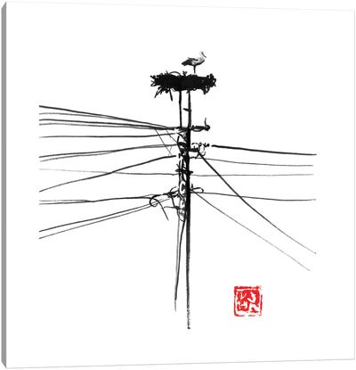 Storke Nest Canvas Art Print - Stork Art