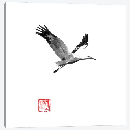 Storke Canvas Print #PCN479} by Péchane Canvas Art