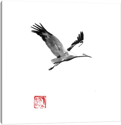 Storke Canvas Art Print - Stork Art