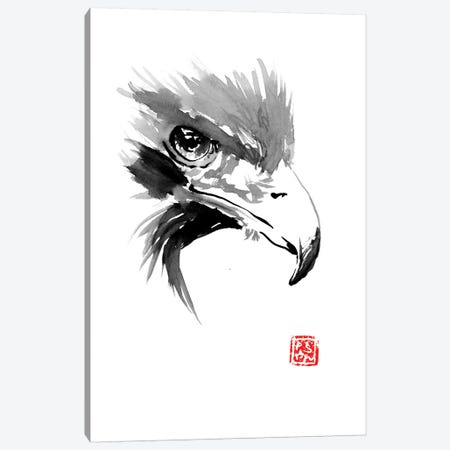 Eagle Canvas Print #PCN47} by Péchane Canvas Wall Art