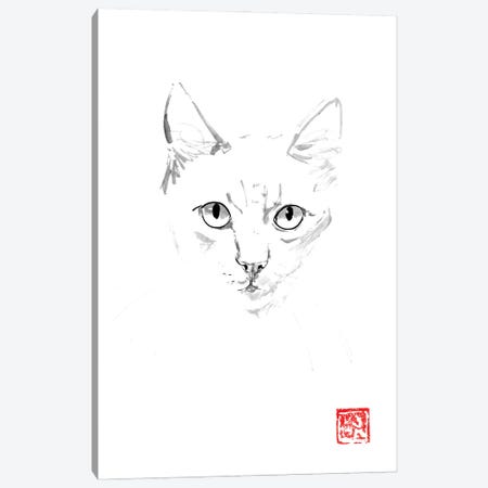 Ginger Cat Canvas Print #PCN486} by Péchane Canvas Artwork