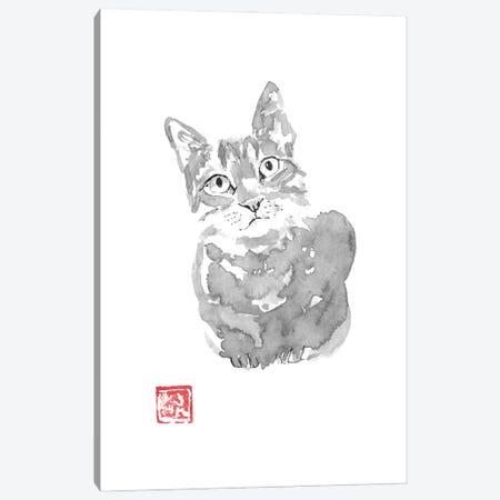 Grey Cat Canvas Print #PCN487} by Péchane Canvas Art