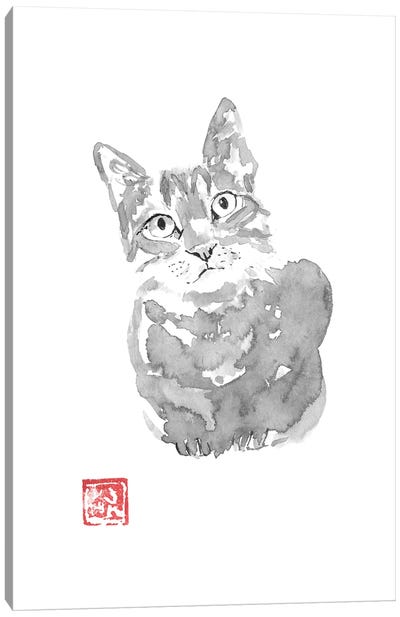 Grey Cat Canvas Art Print - Péchane