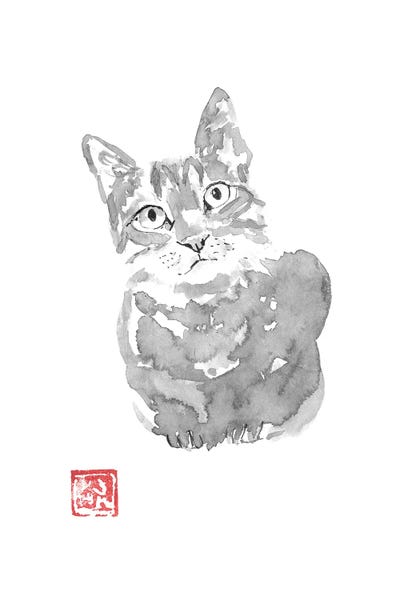 Grey Cat