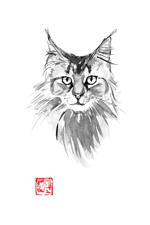Main Coon by Péchane wall art