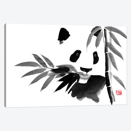 Eating Bamboo Canvas Print #PCN48} by Péchane Canvas Art Print