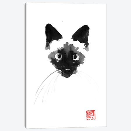 Siamese Cat Canvas Print #PCN494} by Péchane Art Print