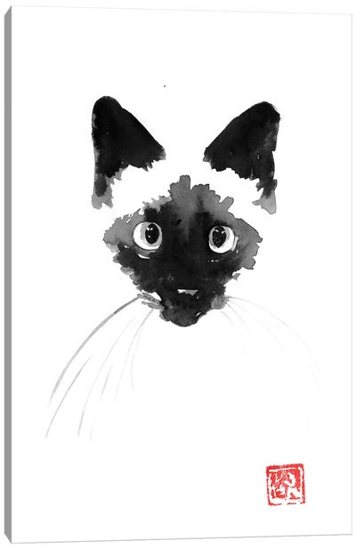 Siamese Cat Canvas Art Print - Siamese Cat Art