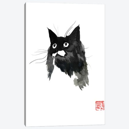 Spoted Cat Canvas Print #PCN495} by Péchane Canvas Art Print