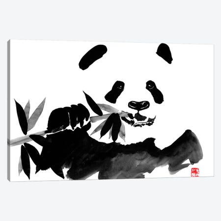 Eating Panda Canvas Print #PCN49} by Péchane Canvas Art Print
