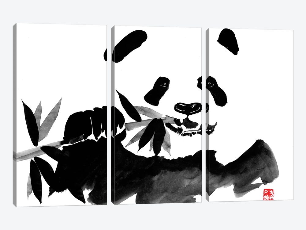 Eating Panda by Péchane 3-piece Canvas Art
