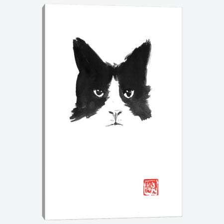 The Cat Canvas Print #PCN518} by Péchane Canvas Art Print