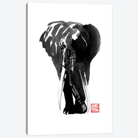 Elephant Canvas Print #PCN51} by Péchane Canvas Art