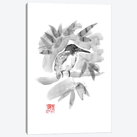 King Fisher Canvas Print #PCN522} by Péchane Canvas Artwork