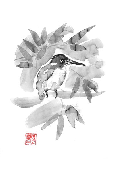 Kingfishers: King Fisher by Péchane