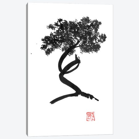 Swirled Tree Canvas Print #PCN525} by Péchane Canvas Art Print