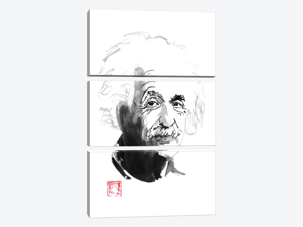 Albert Einstein by Péchane 3-piece Canvas Wall Art