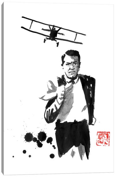 North By Northwest Canvas Art Print - Cary Grant