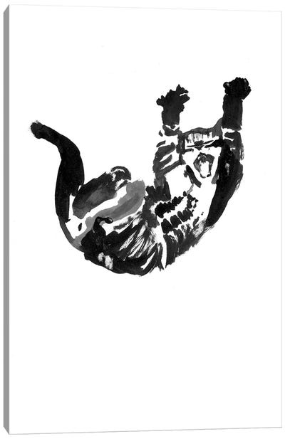 Falling Cat Canvas Art Print - Péchane