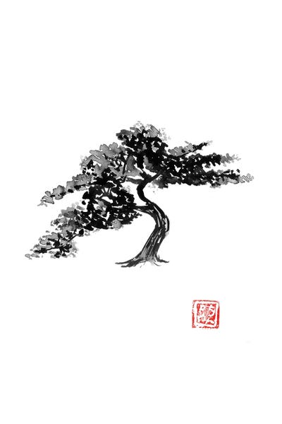 Black & White & Red: Bonsai by Péchane