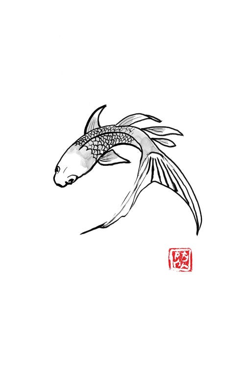 Carp Koi Turning