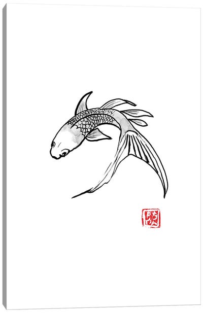 Carp Koi Turning Canvas Art Print - Koi Fish Art