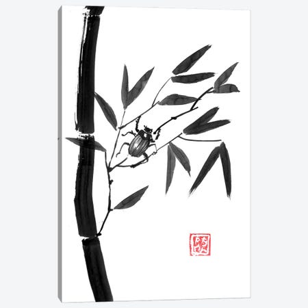 Bamboo And Beetle Canvas Print #PCN585} by Péchane Canvas Print