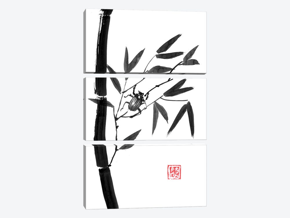 Bamboo And Beetle by Péchane 3-piece Canvas Print